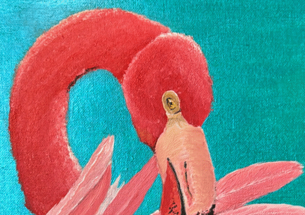 Diva at work - Image 3