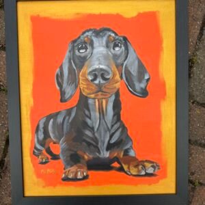 Sausage dog 40 x 50 cm acrylic painting