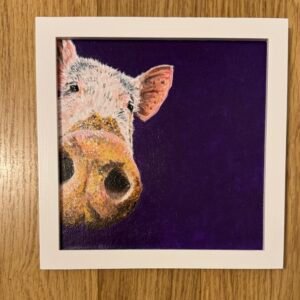 Curious pig - SOLD