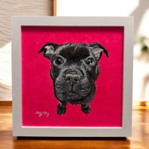 Clyde the staffy - SOLD