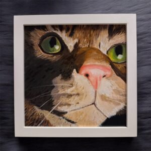 Cat close up 20 x 20 cm acrylic painting