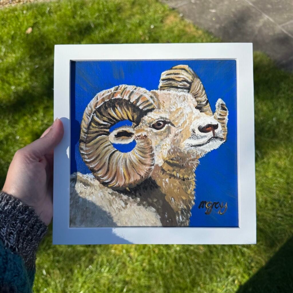 Curly-horn Ram 20 x 20 cm
