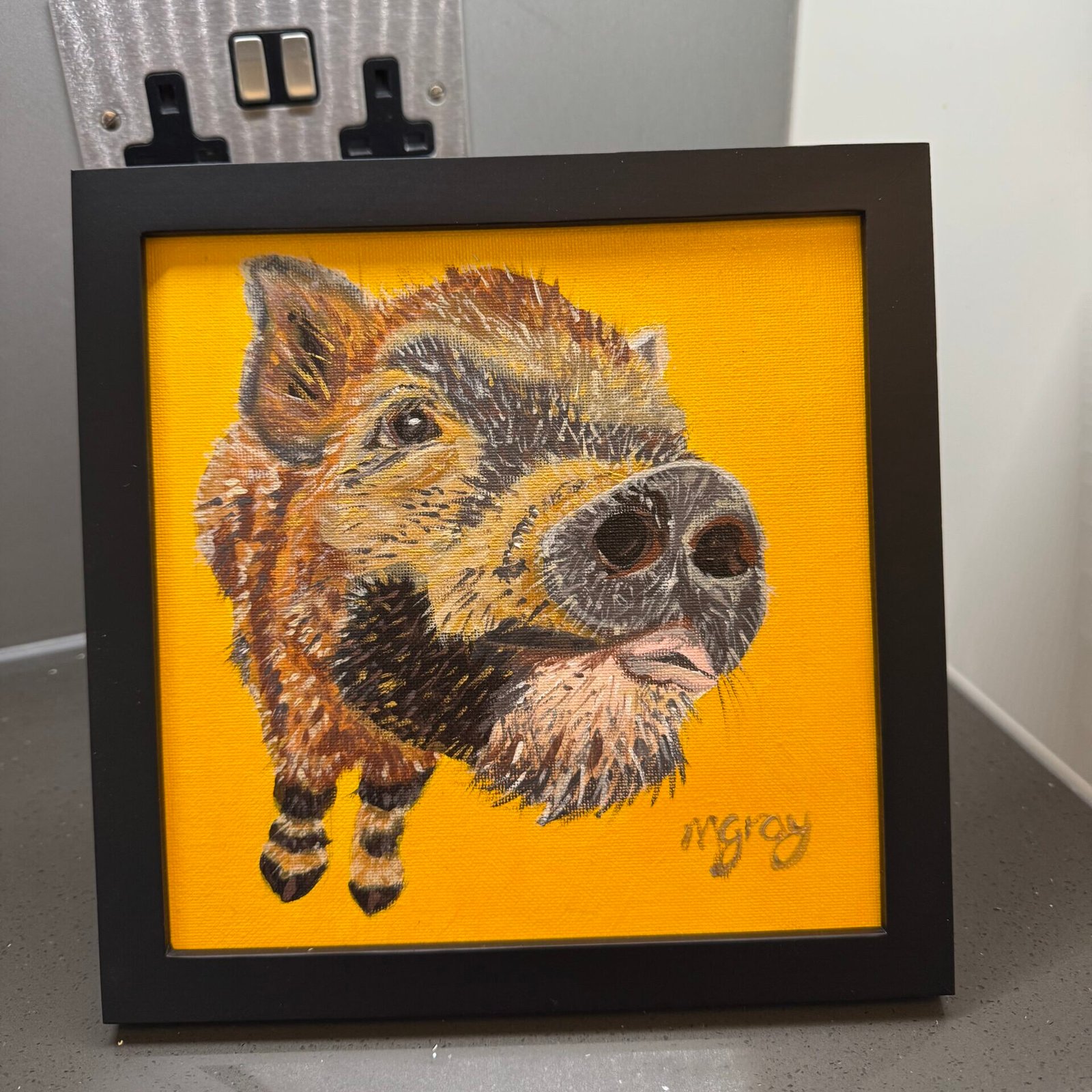 Hairy piglet 20 x 20 cm