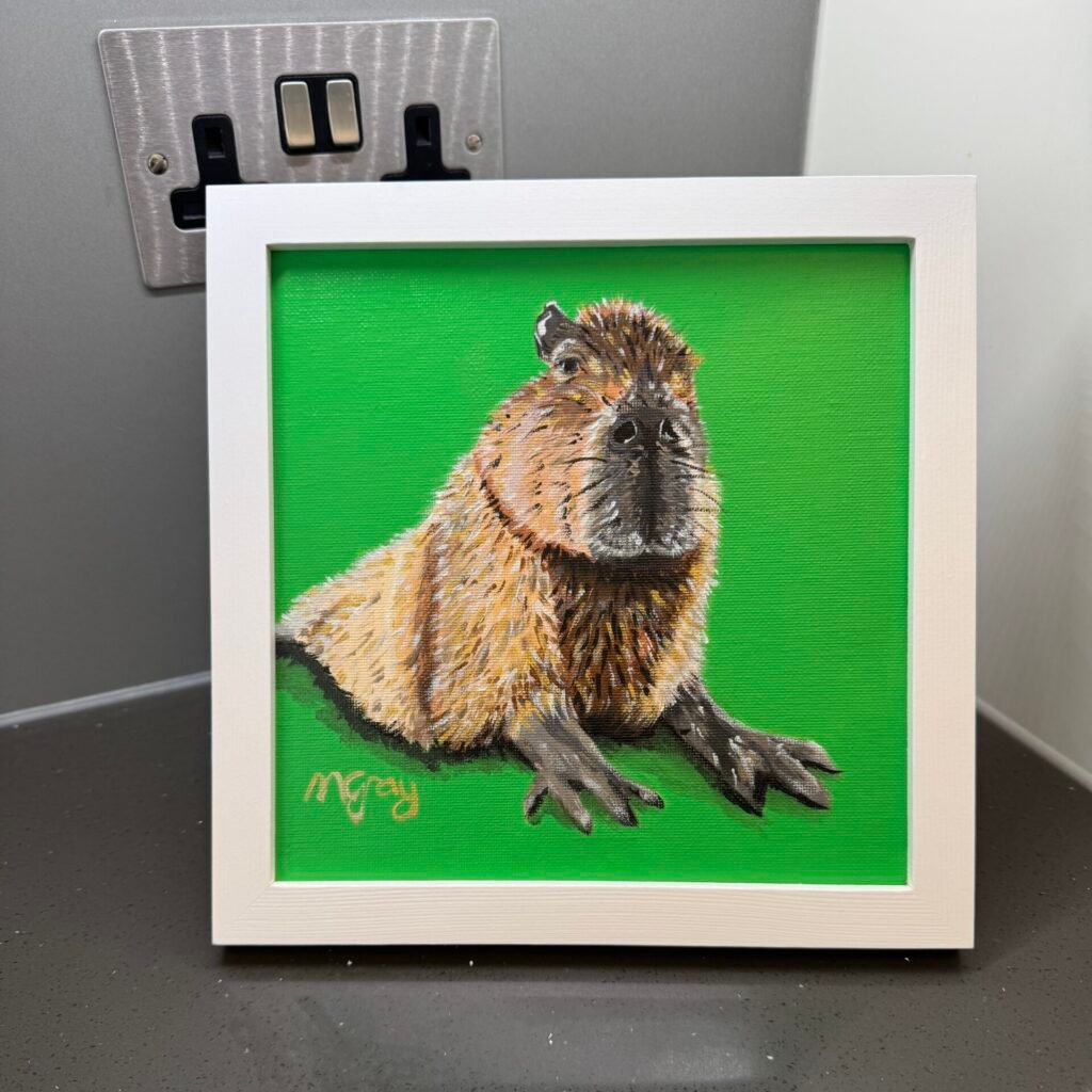 Capybara 20 x 20 cm