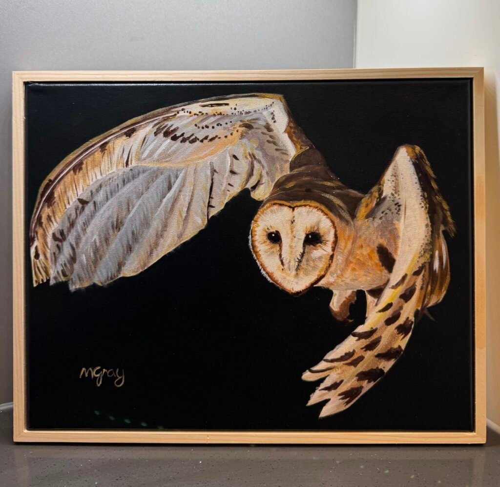 Barn owl 28 x 35cm