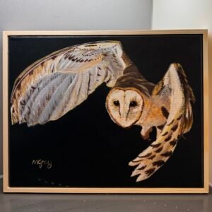 Barn owl 28 x 35cm