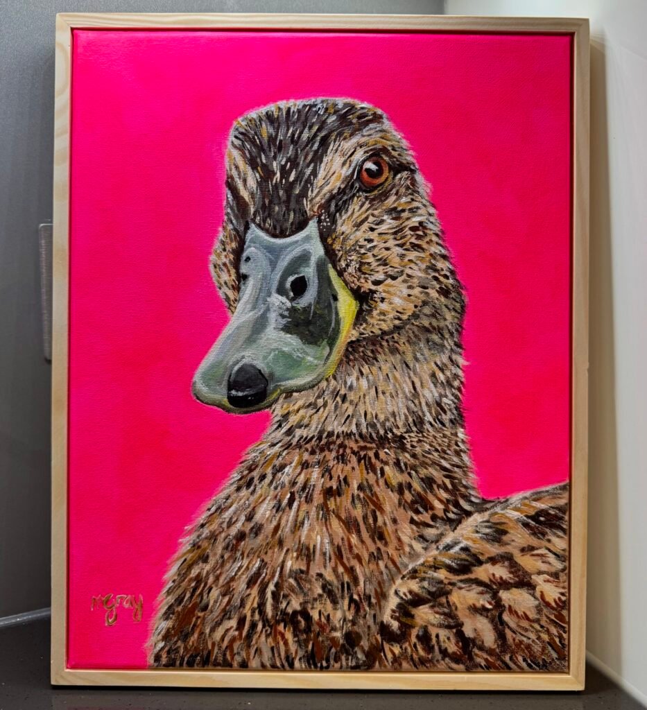 Female Mallard Duck on Pink 28 x 35 cm