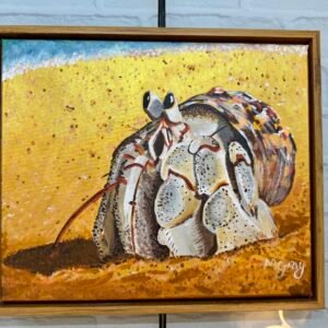 Hermit Crab 25 x 30 cm