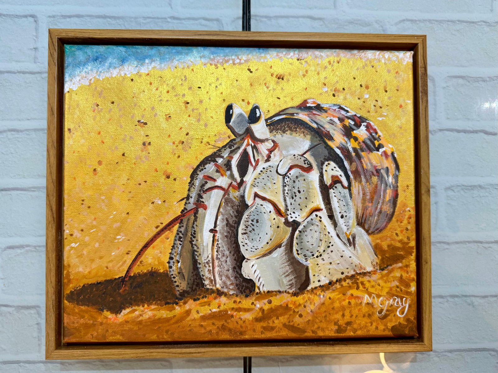 Hermit Crab 25 x 30 cm