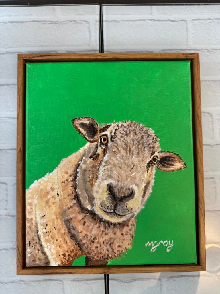 Curious Sheep on green 25 × 30 cm