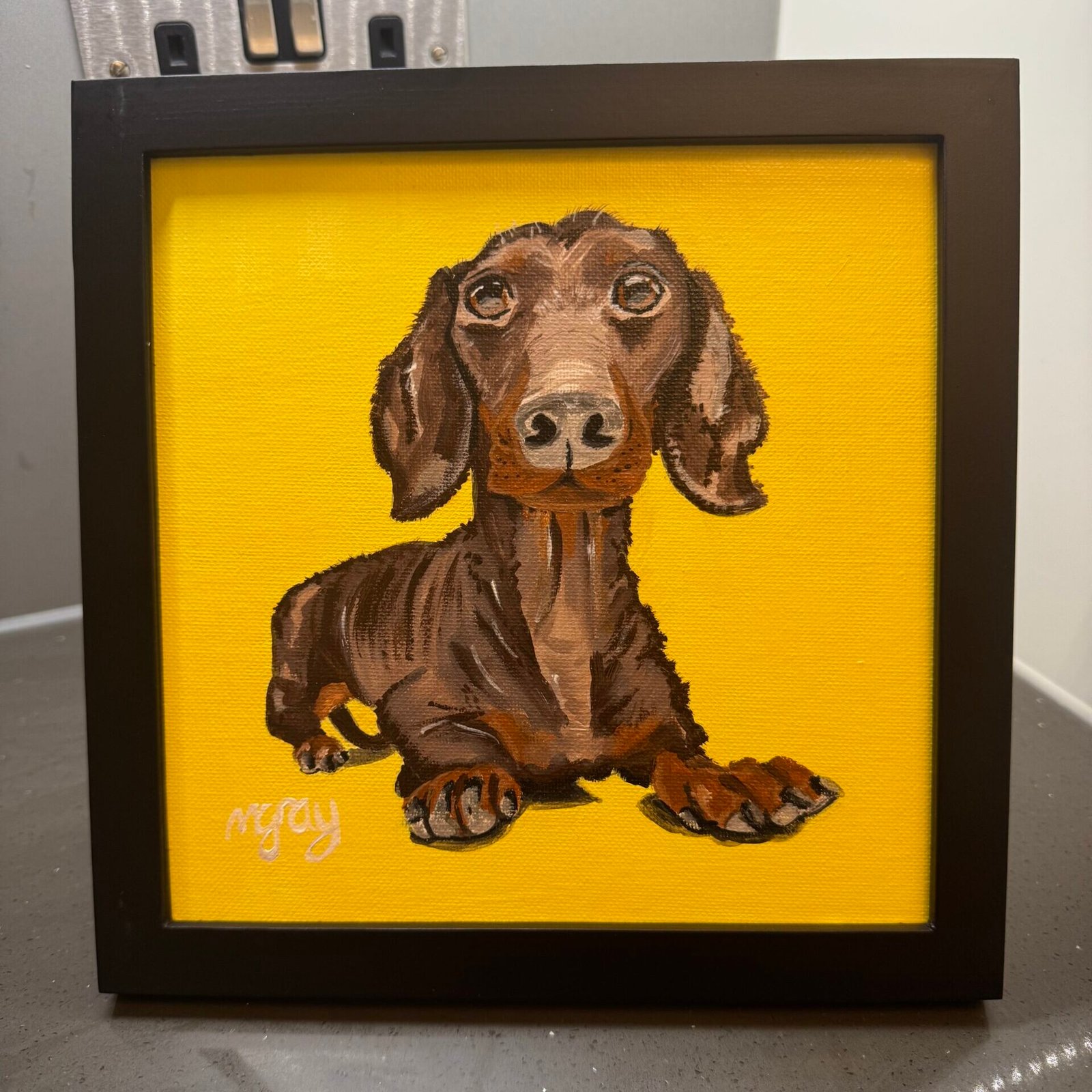 Chocolate Brown Dachshund 20 x 20 cm