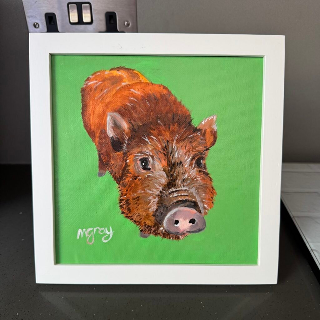 Hairy Ginger Pig 20 x 20 cm