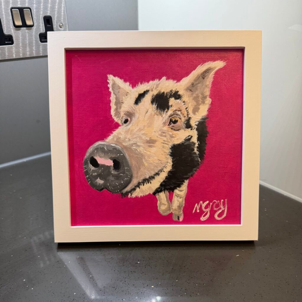 Black & White Pig on Magenta background 20 x 20 cm