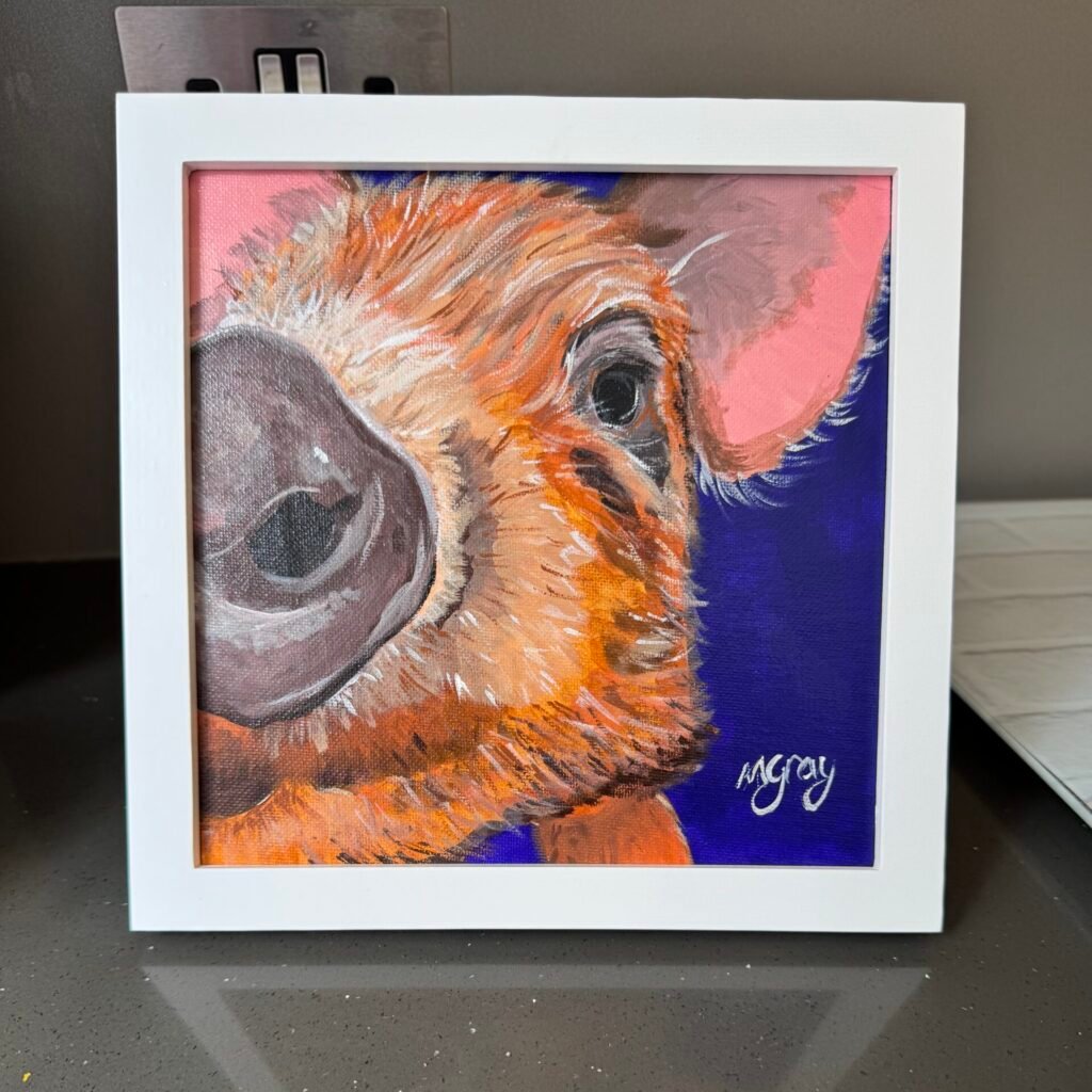 Ginger pig close up on blue 20 x 20 cm