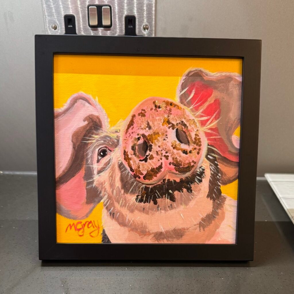 Pig looking up on yellow background 20 x 20 cm